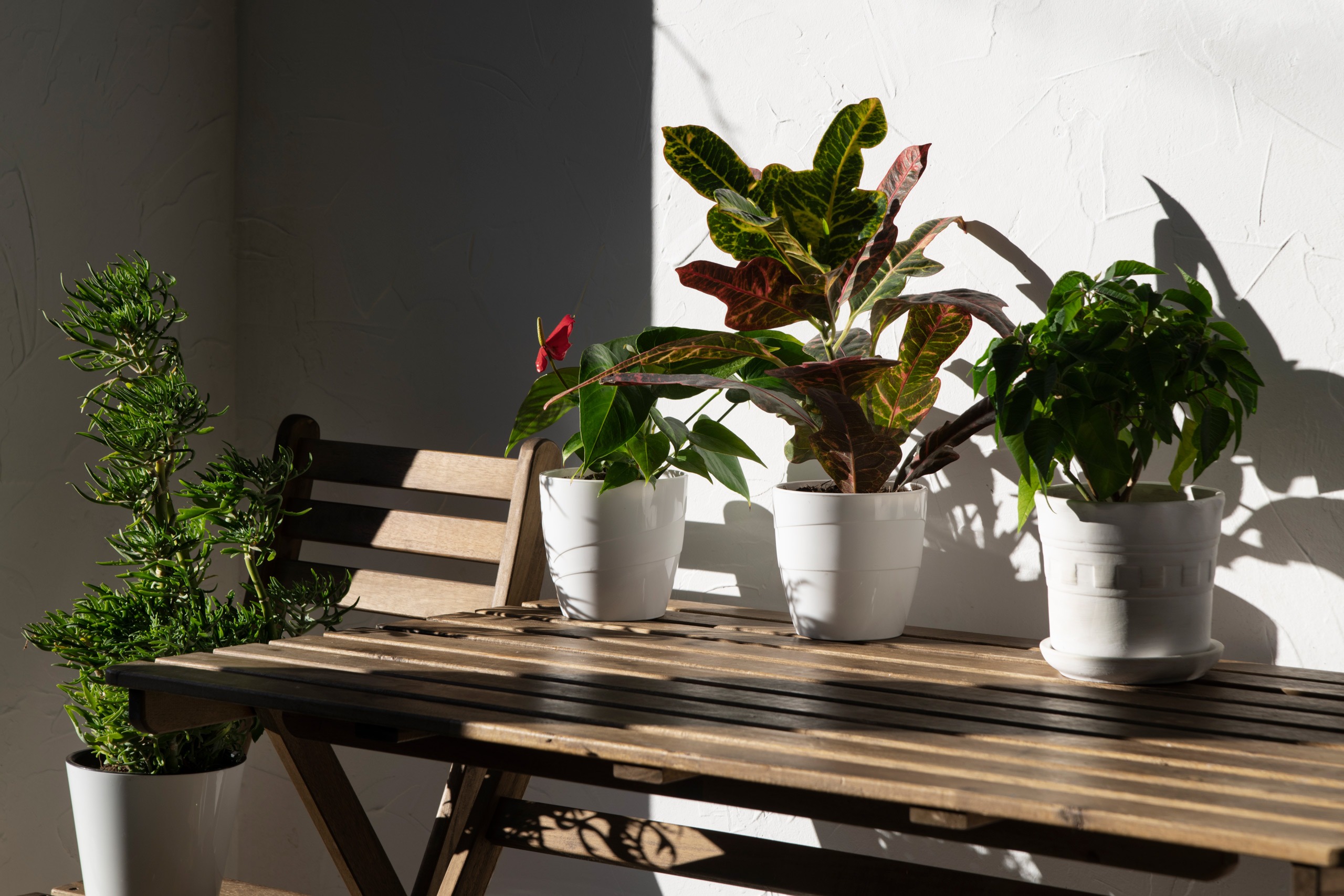 Terraza o balcón listo en abril: cambios rápidos para disfrutar la primavera